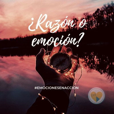 ¿Razón o emoción?